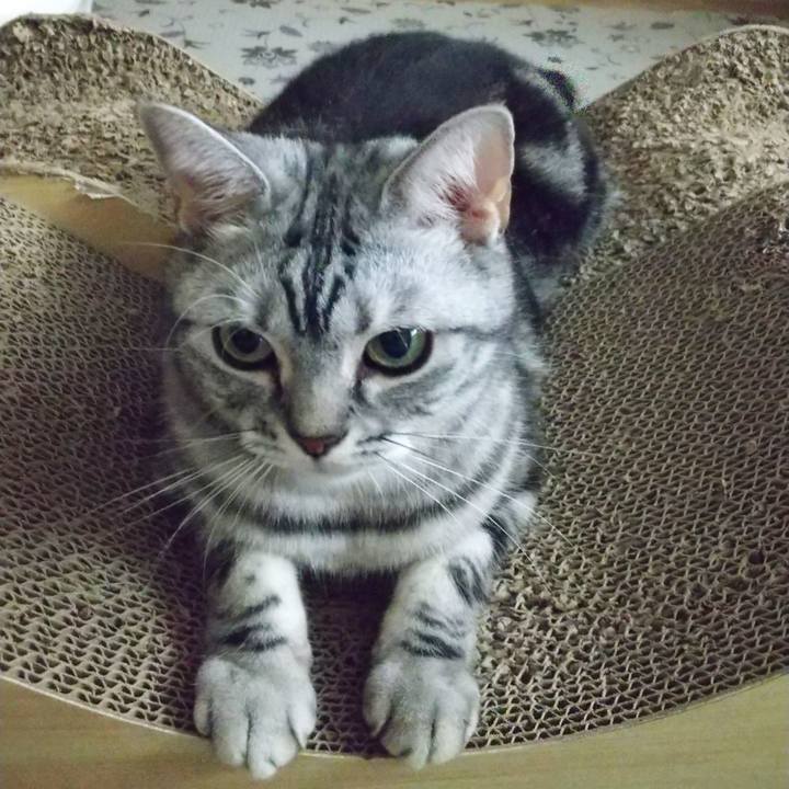 Bbf1ac8e 42c0 40c5 892d bc21f2384401 1627390761016