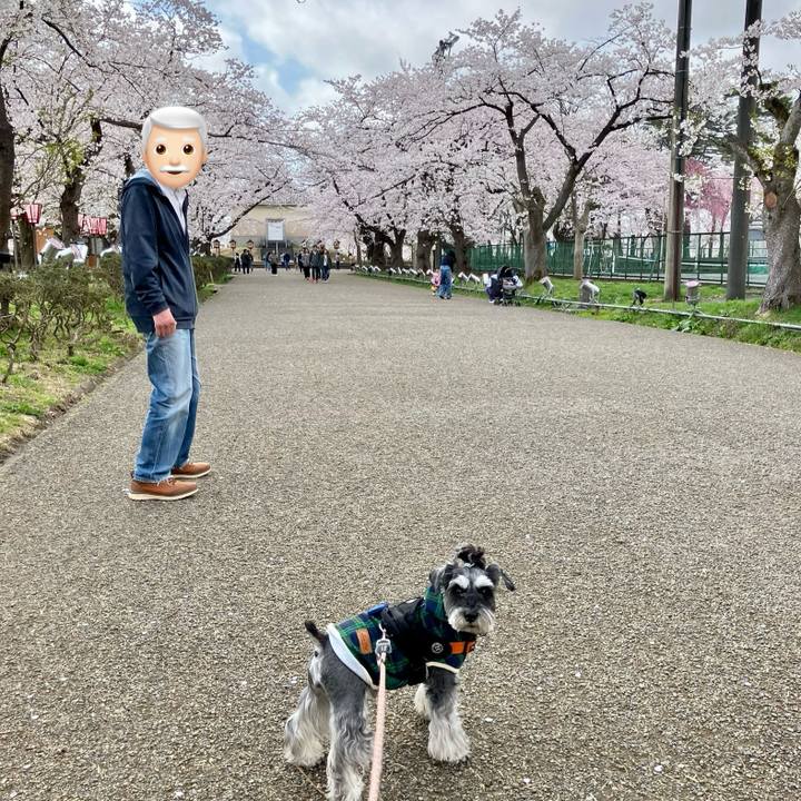 Bbf1af2e e837 40d8 83e4 5f9c726e6a81 1745130962919