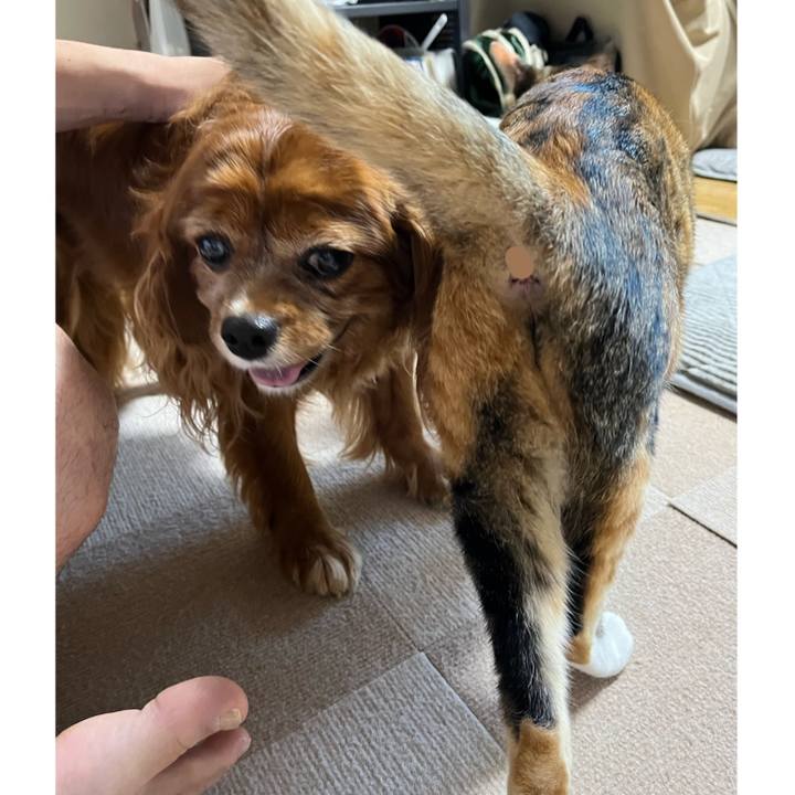 Bbf1c873 d286 4d8f 9b31 8da13d12618d 1693696600952