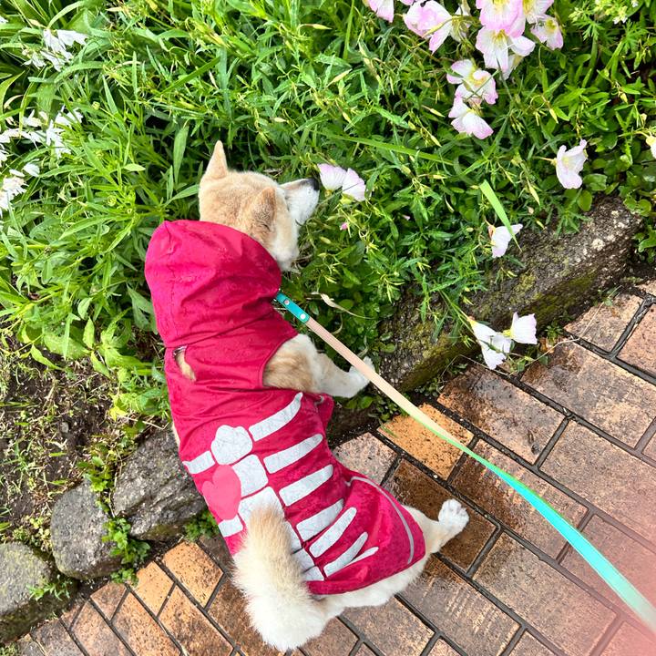 Bbf240b2 aca7 40d1 84ef 6c7bd626a892 1746168263678