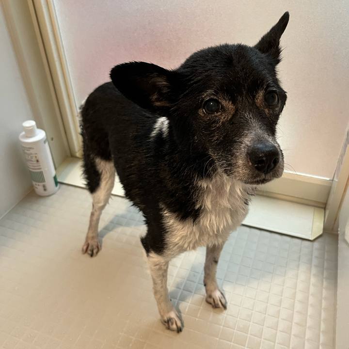 Bbf27781 c651 43a2 bb67 9ddad3c642f0 1710759597478