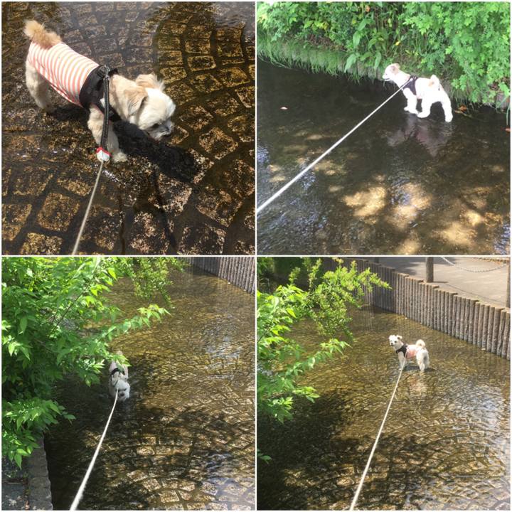 Bbf2a622 02aa 4798 8779 e9406723a7ba 1556863846685