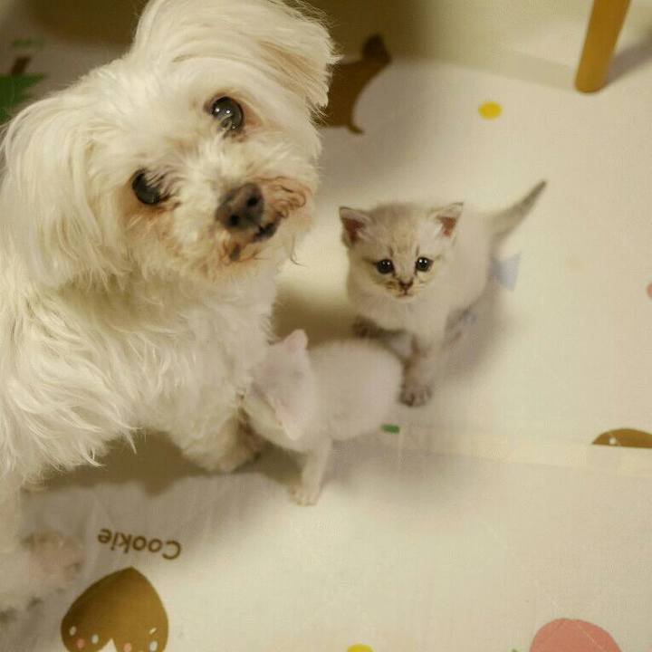 Bbf2be3d 16e7 48f1 867c 22345642985d 1523759082971