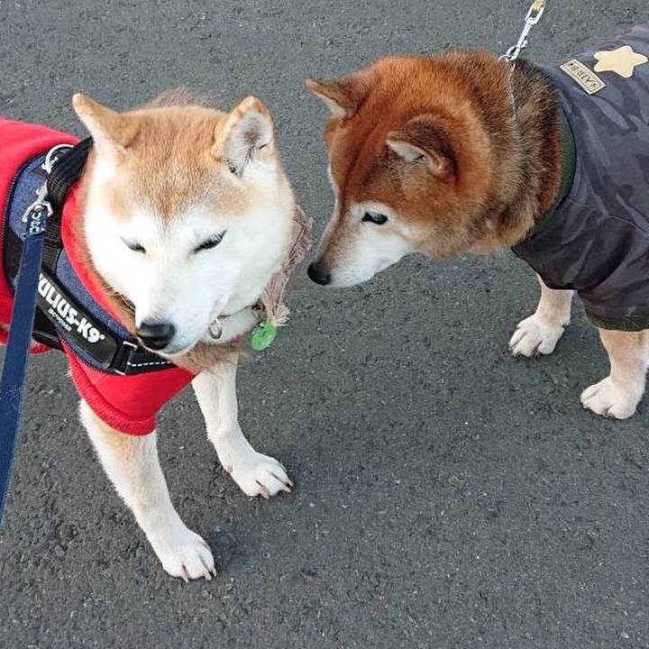 Bbf30503 6f7a 439e bc85 9bb867a9bef5 1674637982997