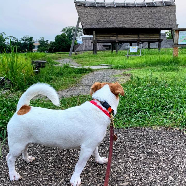 Bbf31788 7750 4d23 80b1 9feab42e9d8b 1564742170410