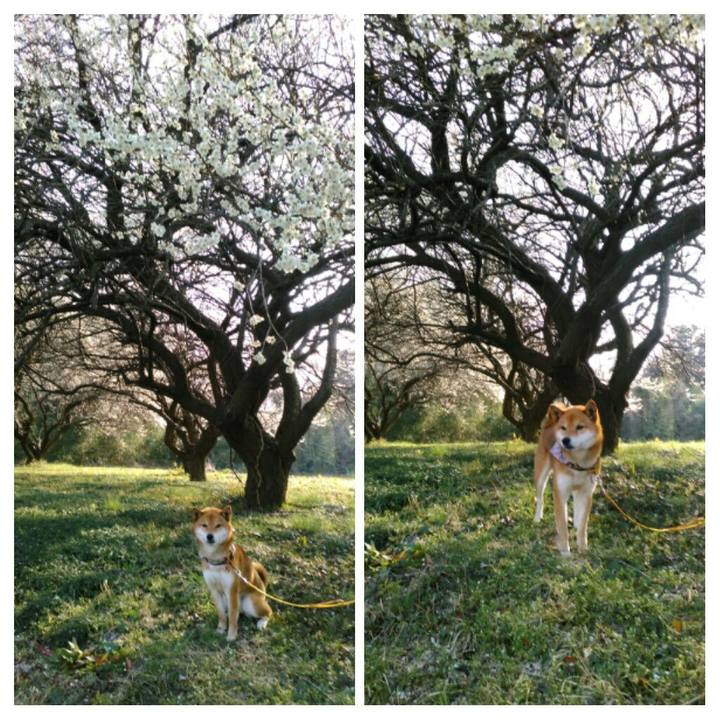 Bbf31d5b f3a5 4ab4 837a 41eff9b92b66 1520754219789