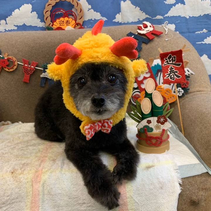 Bbf3543d 5c0a 4141 bf9f f192bd8615df 1704039550471