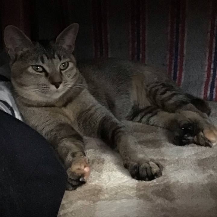 Bbf365cb 94ed 4d50 ae32 fceb703f89c3 1574635487556