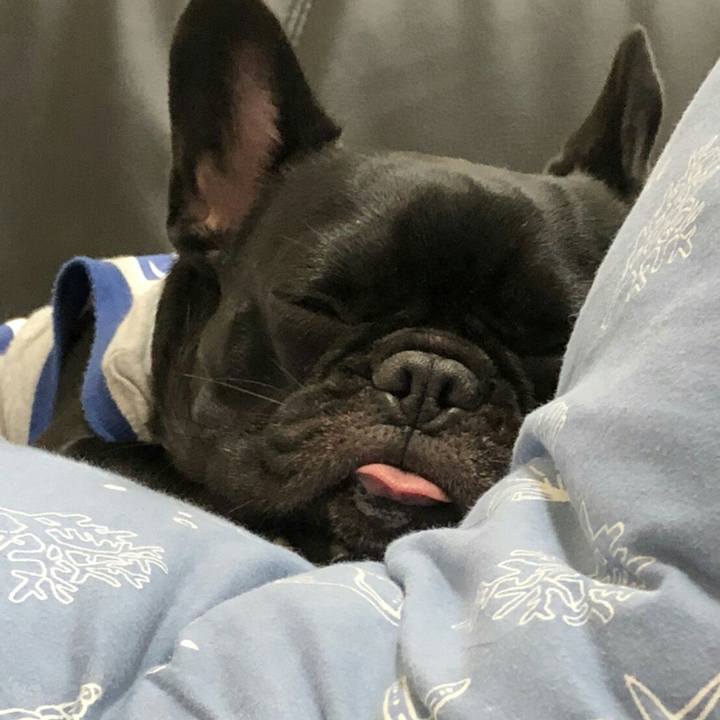 Bbf3936e f541 4153 94fa 8f3fd1b4e4db 1531314664884