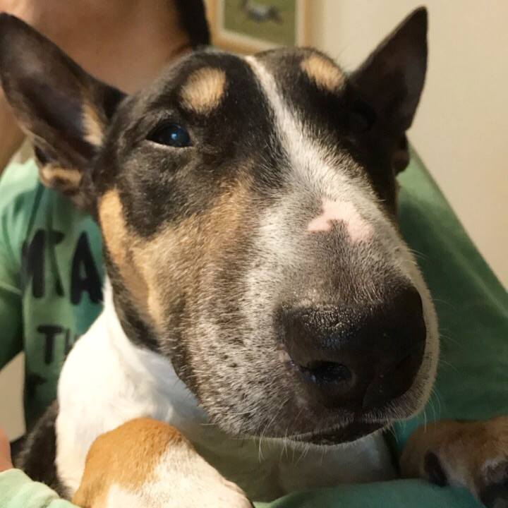 Bbf3a7e6 ebfb 48a8 b63f 4e606fbba0dd 1508038539300