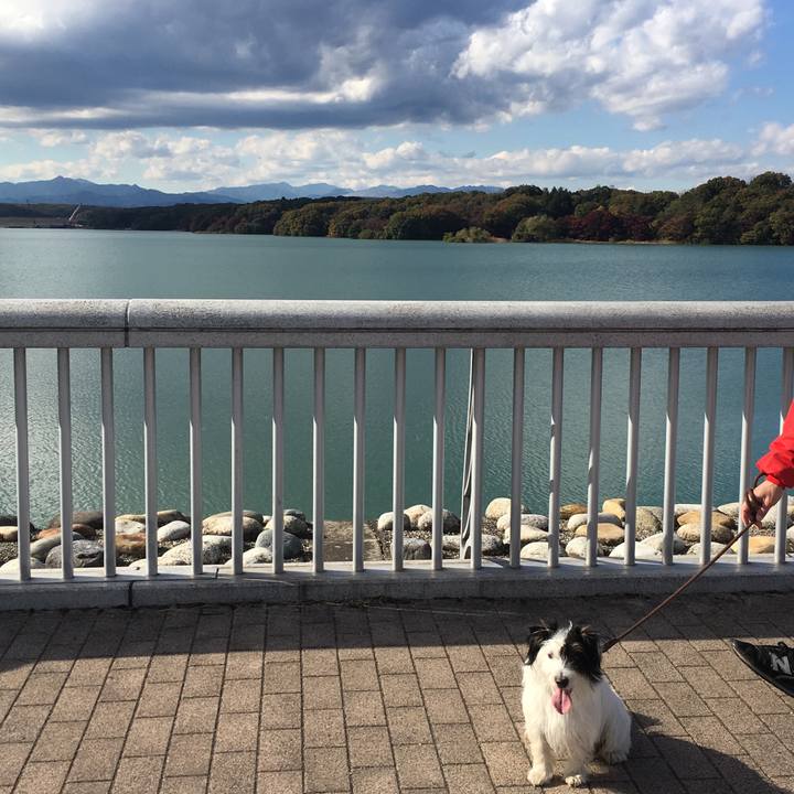 Bbf3c943 b18c 4175 b391 8ba379e10a61 1511070162128