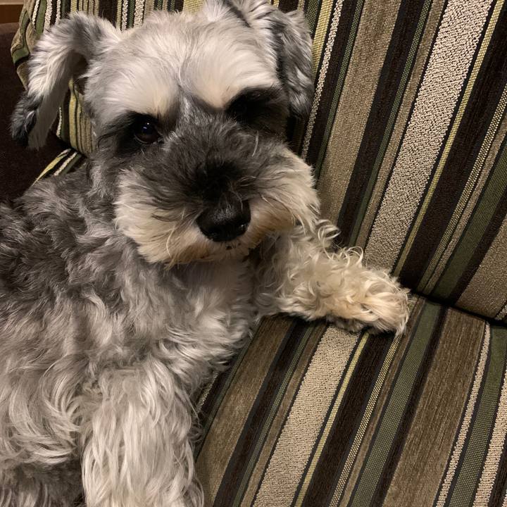 Bbf3c9b1 82a6 4fbd ae43 55c11fca9c01 1600253354039