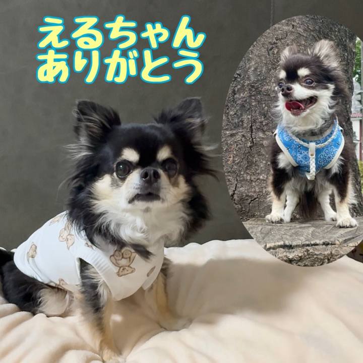 Bbf4123b b70b 4d5f ae05 c0c990f7cd99 1735627988184