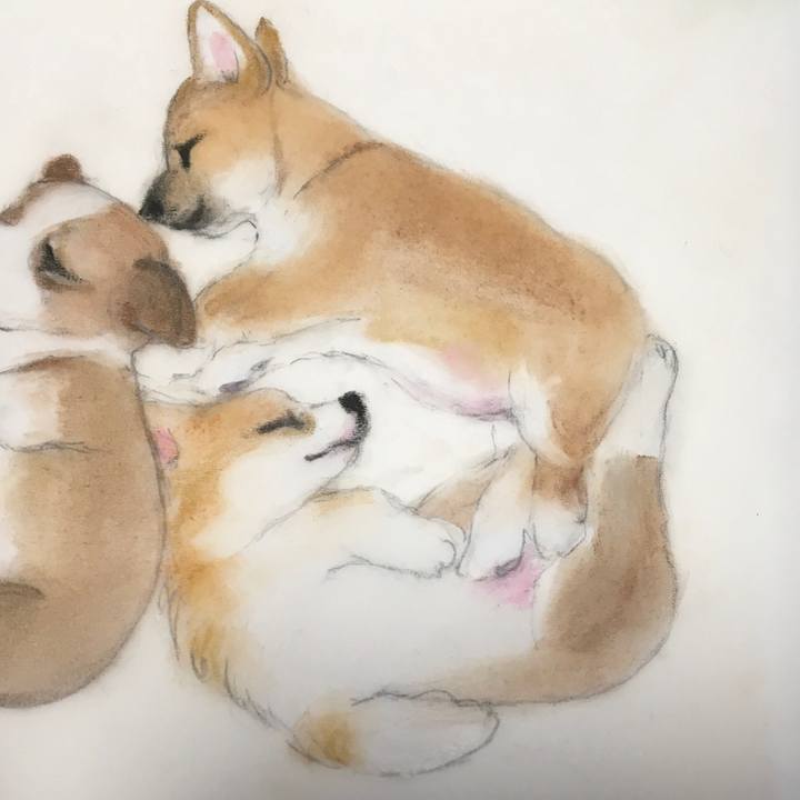 Bbf42137 a404 48f7 9d82 09e6b5c2e4de 1610896686998