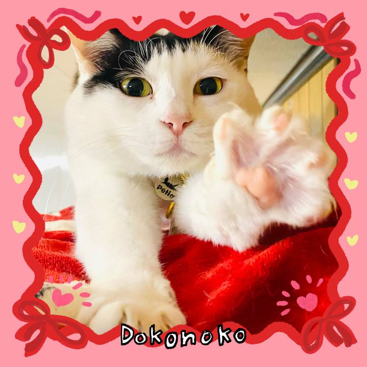 Bbf427c8 debe 4968 a524 bd4c671f7630 1706870662810