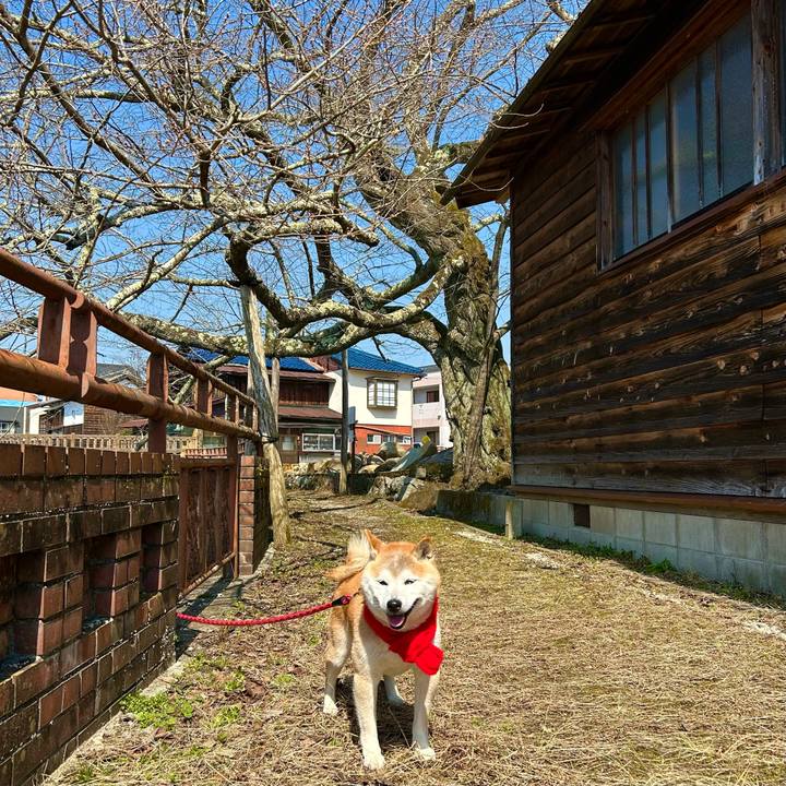 Bbf44051 1353 4139 8b8c 4abbe063c5a0 1742729266166