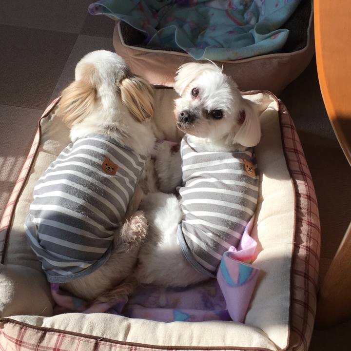 Bbf448ad 8404 4c9d bb6d 11da4bfa8eb4 1639282622744