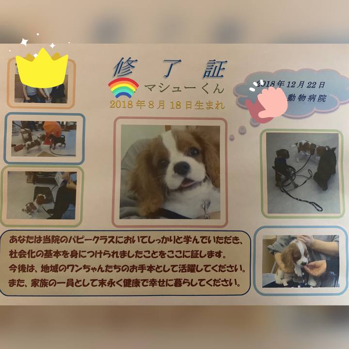Bbf45da2 a306 48b5 a3da 413f7358a452 1603195160833