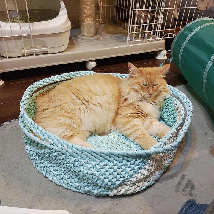 Bbf50c27 8de2 4a01 8b97 6d60c4235b24 1656762231047