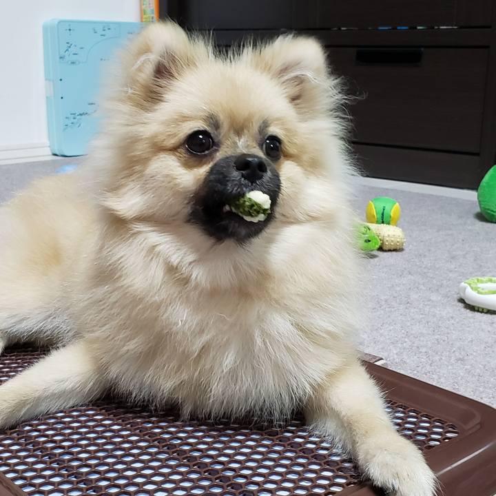 Bbf55b4d 05f5 4f15 9cc0 19df4ca84b8a 1621137467733