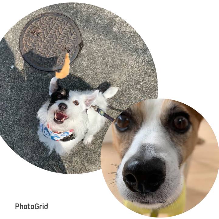 Bbf57a16 6b40 45bf 8b5d 4431c369021c 1688429129054