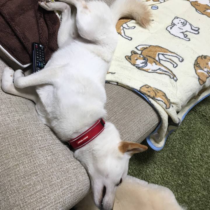 Bbf57c73 4c24 46a2 bb13 99af55040e13 1515507744212