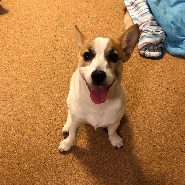 Bbf5f78e c4a1 45dc a8fb 1c971a748714 1559090522599