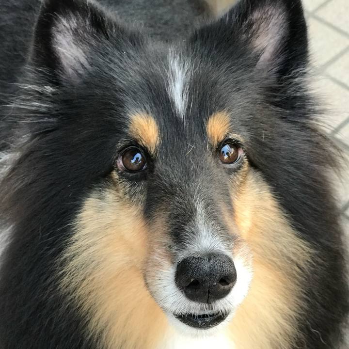 Bbf614d1 62ae 4fff a5ce ebe07d3681d0 1759770775449