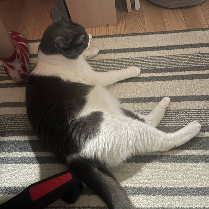 Bbf61642 e168 4529 84b7 07e5a4c89f5c 1755406711054