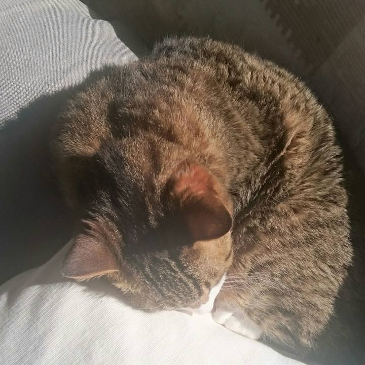 Bbf6242d 90a2 4be2 8386 91ff2d17df05 1523262266895