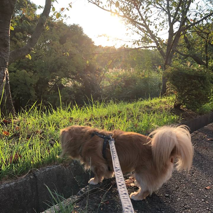 Bbf64f74 ab78 46dd a726 1a9b63f922e4 1569448705899