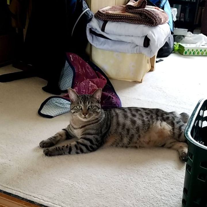 Bbf69d65 6aa0 46d6 92f6 87c79e03f446 1690768006749