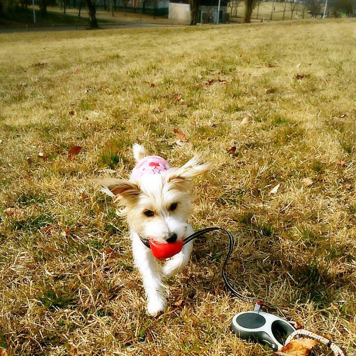 Bbf6da6e 98ed 4ede b07e f9f93ade97a9 1516521912639