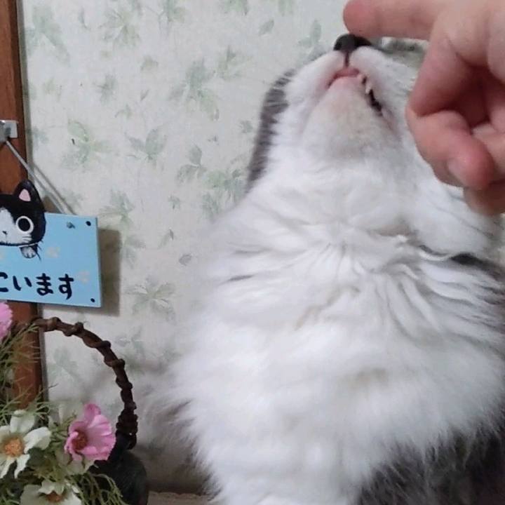 Bbf6f3d3 9c7e 419c 901b a5a7a2dc5035 1760952398857