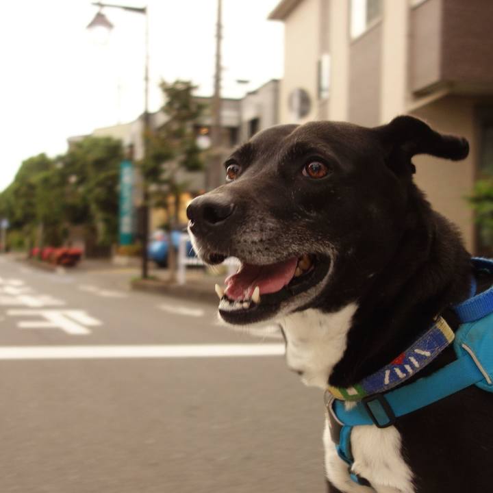 Bbf7277a c3a0 4121 8cb2 b05b160fb68e 1685453893634