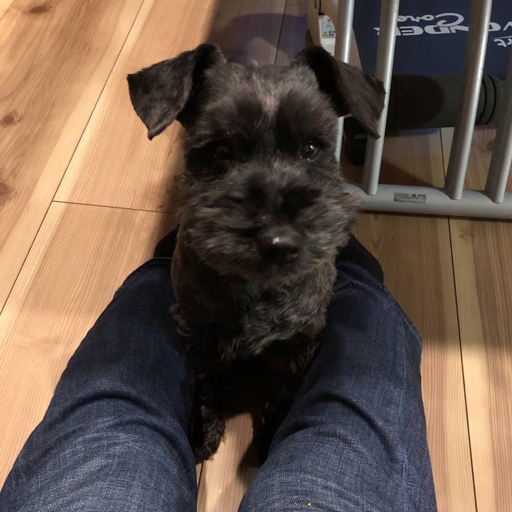 Bbf74d19 c34d 466d 9fb9 d7c0c7e2f34b 1521029803190