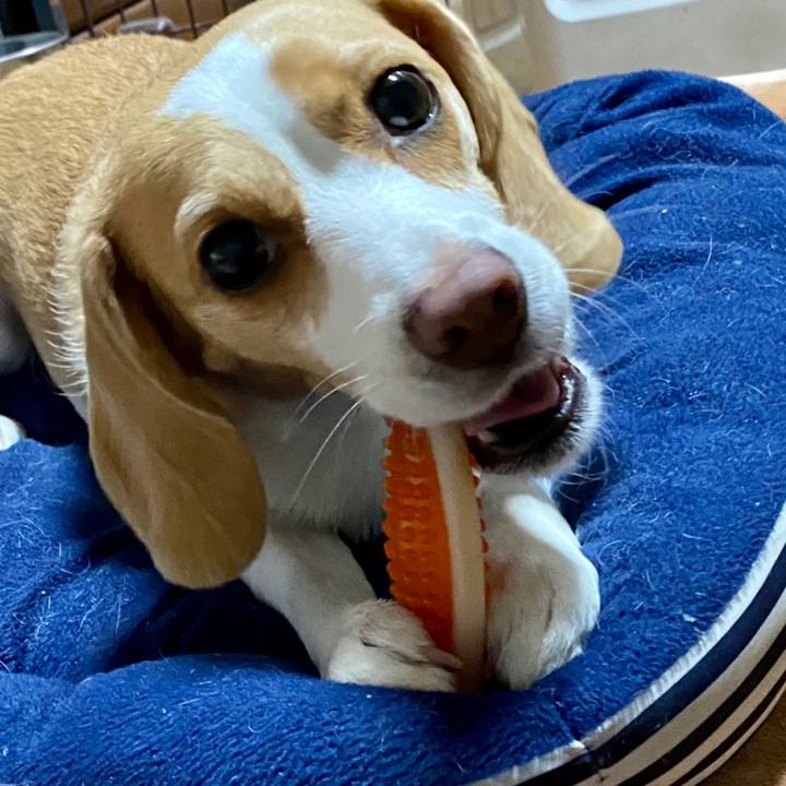 Bbf76307 85b9 4ada 96bd ac2d392466cd 1607646361450