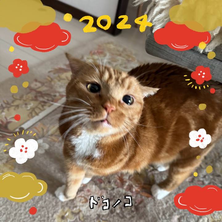 Bbf78977 bb96 4e6f 86be eb8ca5f8d3b8 1704264898501