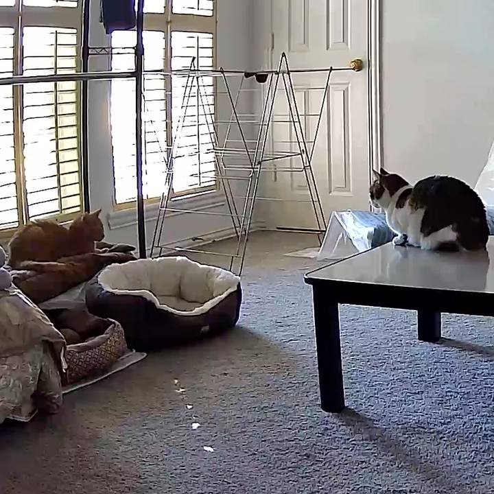 Bbf7c377 de84 4eb4 a52b 5507c7acd077 1769133993552