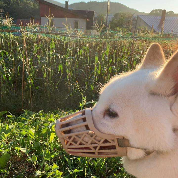 Bbf7dec4 17df 48d5 a97f b3024853d2ca 1597006755614