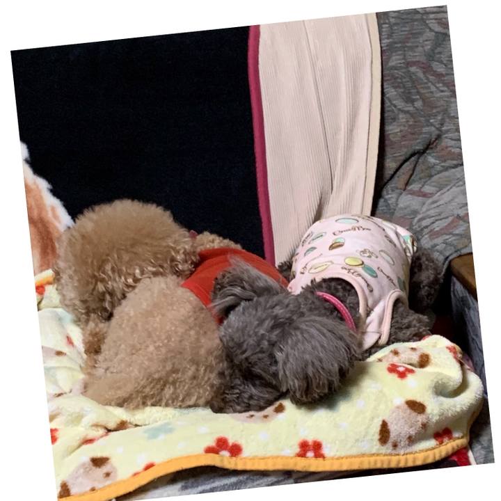 Bbf7f306 4b13 494e 908b 729f75a63887 1608157848914