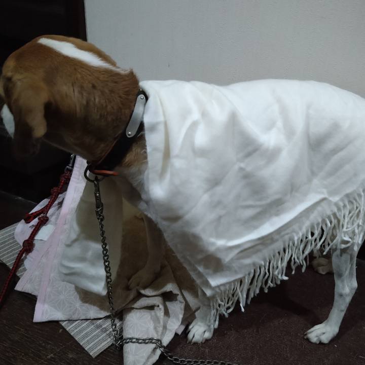 Bbf807ee 359e 4ba2 af1d 8f89df2fb6a9 1635074805565