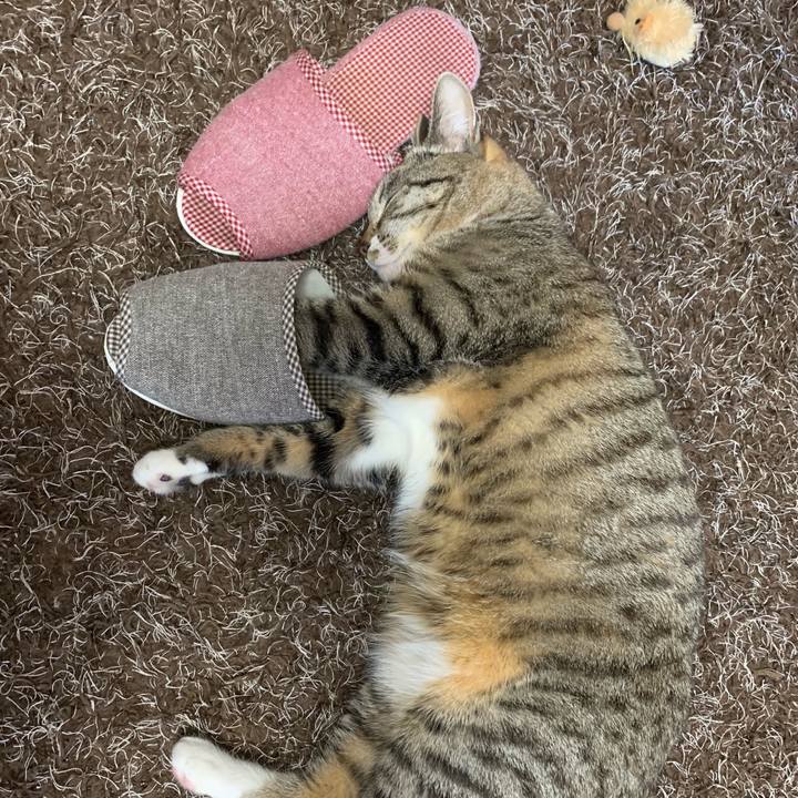 Bbf83651 5c21 45d6 abde 32de2957d04b 1548382526748