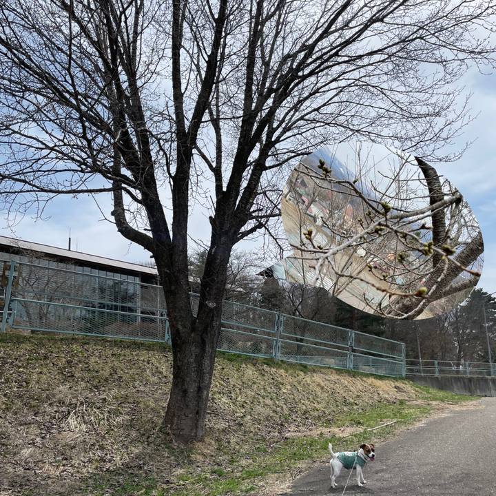 Bbf86f46 b4f9 4a60 9006 a3664098be2d 1649672986194