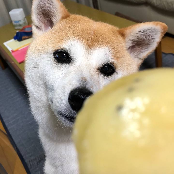 Bbf89913 267c 43ae bfe4 c0a627cdafa3 1595897887839