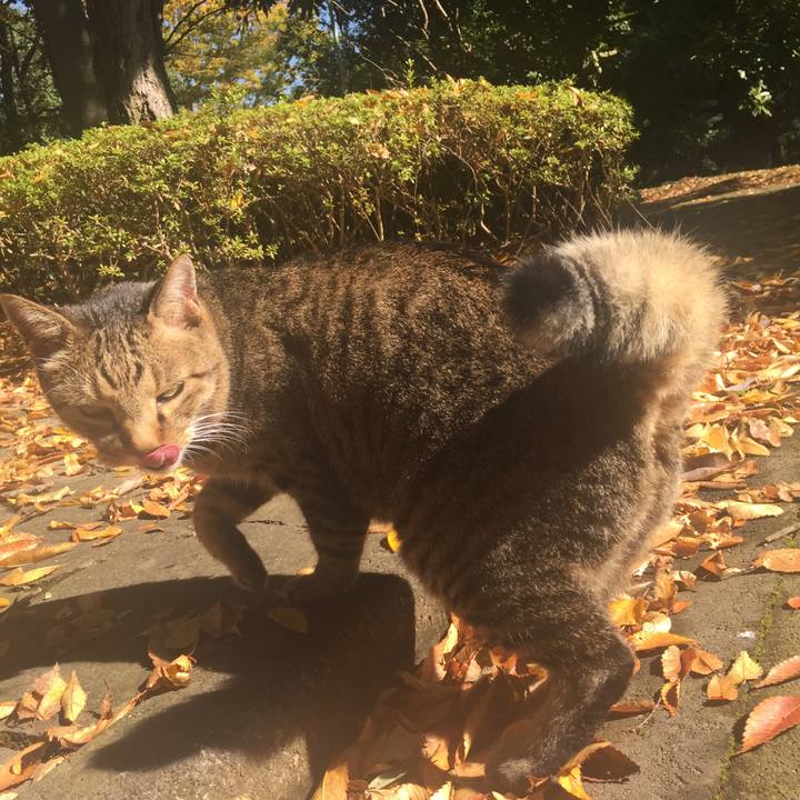 Bbf89fa9 5c5e 4aff b522 2f5231d22263 1509700651717