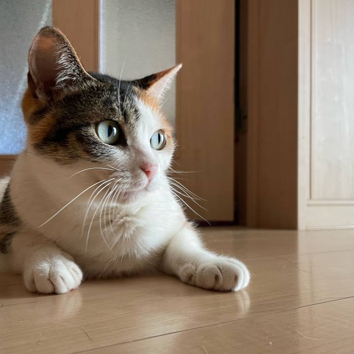 Bbf8a74b 2642 4bbe 99cc a165a831646c 1658639599839