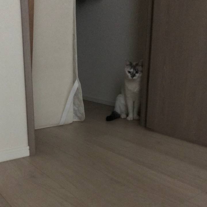 Bbf8a809 1558 484a 888f a56a75007ebc 1536278733371