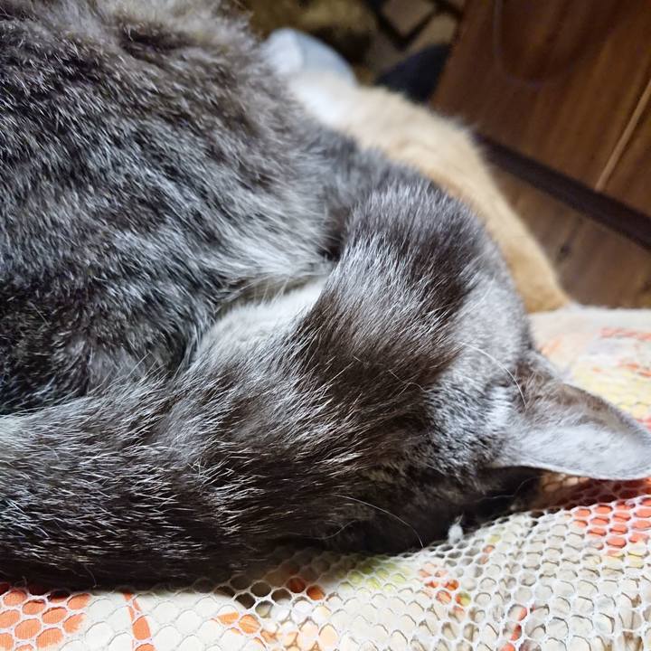 Bbf8b046 8504 4353 b239 123564f1b8b6 1572700558830