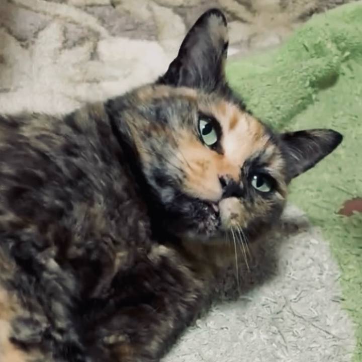 Bbf8e133 ec75 4cef bbe2 37a0dca38c14 1747863005684